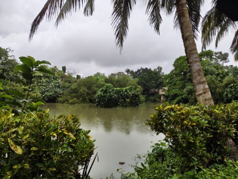 IMG_20250714_164831728