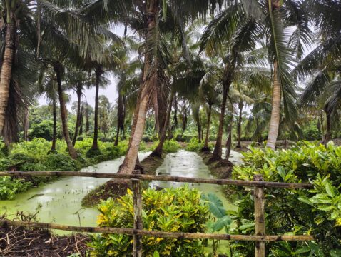 IMG_20250714_164838372