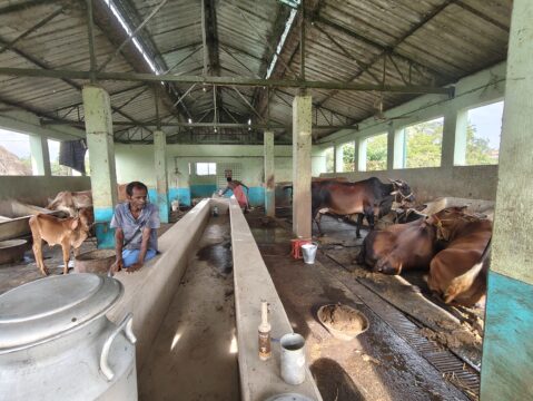 IMG_20250717_160948546