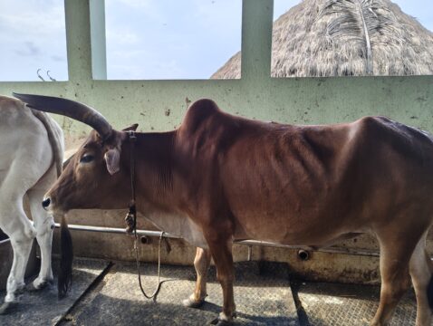 IMG_20250717_161426299